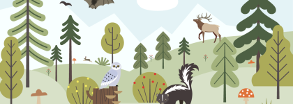 A graphic of a forest with trees, skunks and deer.