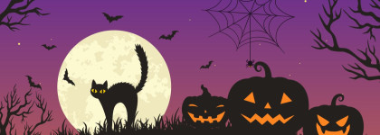 Halloween scene with a black cat arching its back in front of a full moon, surrounded by carved pumpkins, bats, bare trees, and a spider hanging from a web against a purple and orange sky.