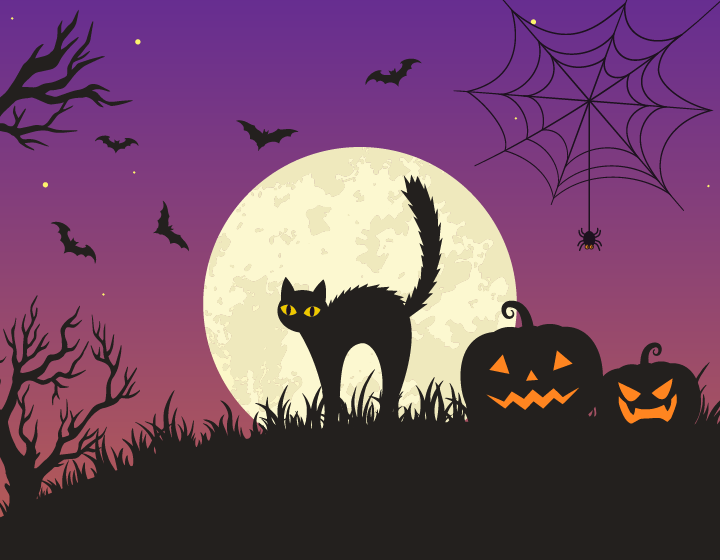 background image: A Halloween themed graphic with a black cat, pumpkins, bats and a spiderweb against a purple sky.