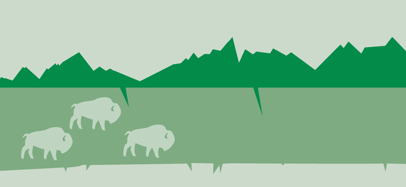 background image: An illustration of drawn buffalos. The background has layers of colour: white, lime green and dark green, which are shaped like the mountains. The buffalos look like paper cutouts.