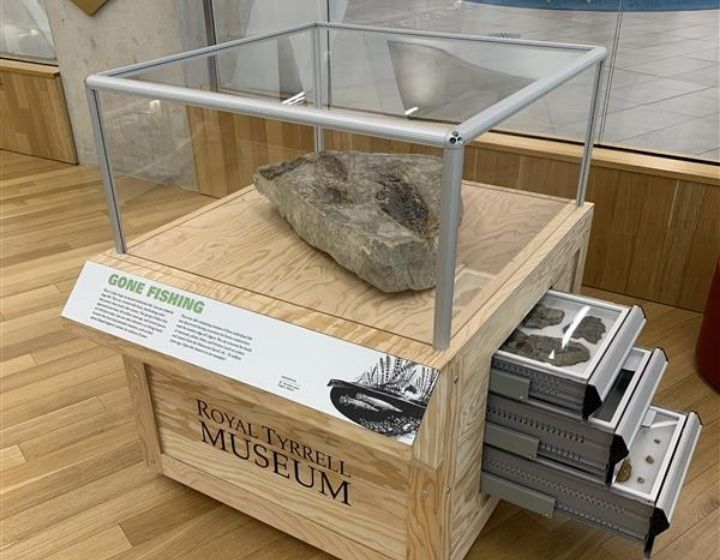 Royal Tyrrell Museum